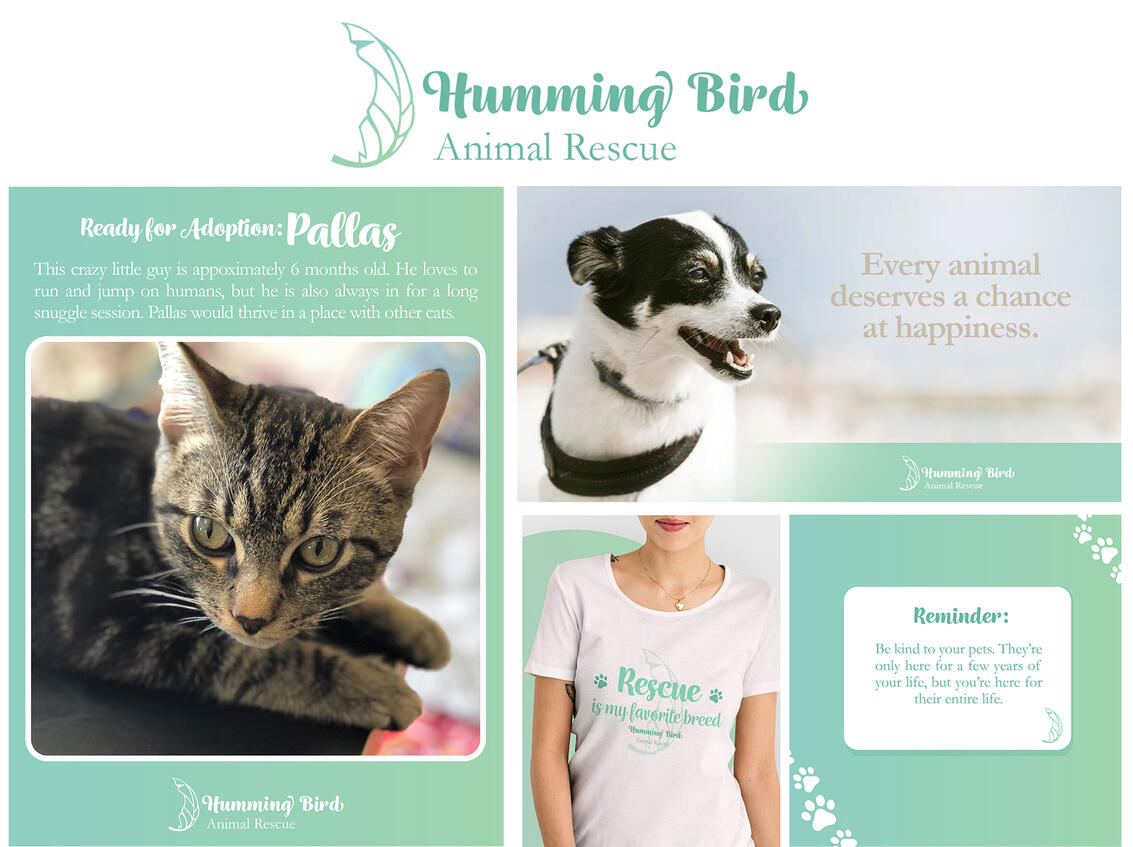 Humming Bird - Brand and Identity: Study Project