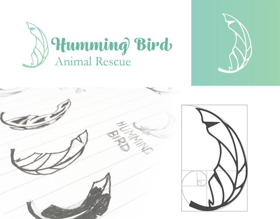 Humming Bird - Brand and Identity: Study Project